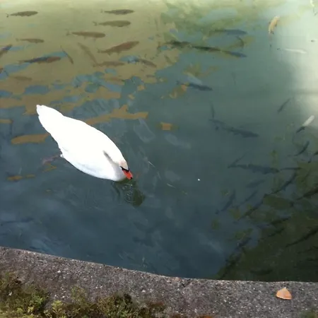 Appartamento Monolocale Iseo